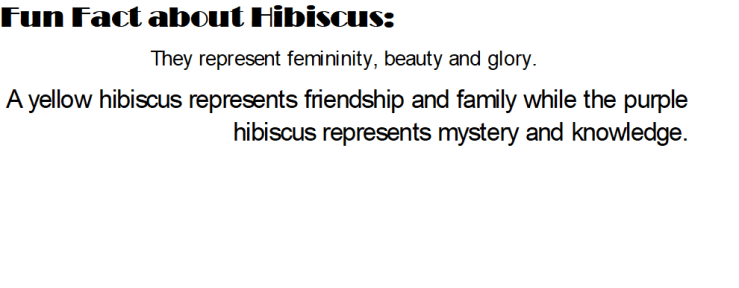 Hibiscus