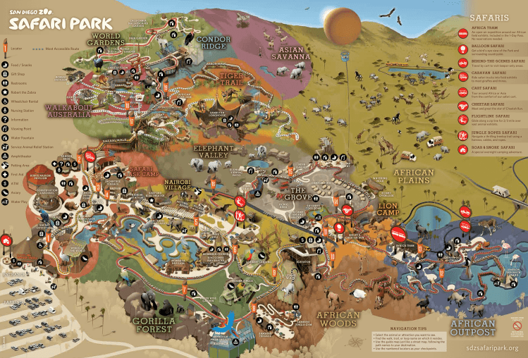 SafariPark_GuideMap_Front_6.2018